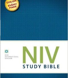 NIV Study Bible Large Print (Hard Cover)