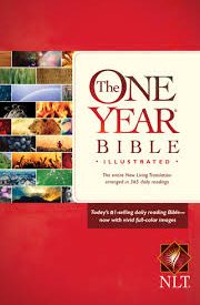NLT The One Year Devotional Bible (Paperback)