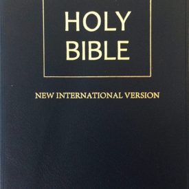 NIV Standard Bible (Hardcover)