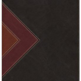 NLT - Illustrated Study Bible - Brown/Tan Tutone Deluxe Leather