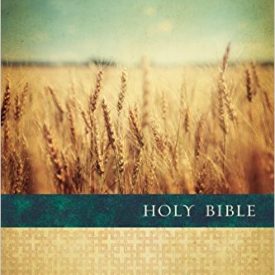 NLT Large Print Slimline (Paperback)