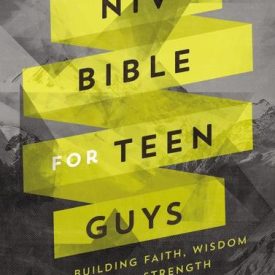 NIV Bible for Teen Guys (Hardcover)