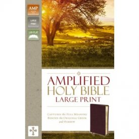 Amplified - Large Print - Burgundy (Bond
