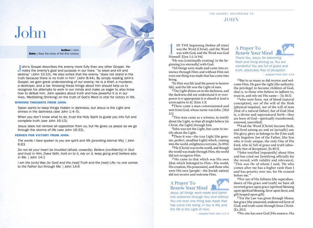 Battlefield Of The Mind Amplified Bible Joyce Meyer (Hardcover) ZOE