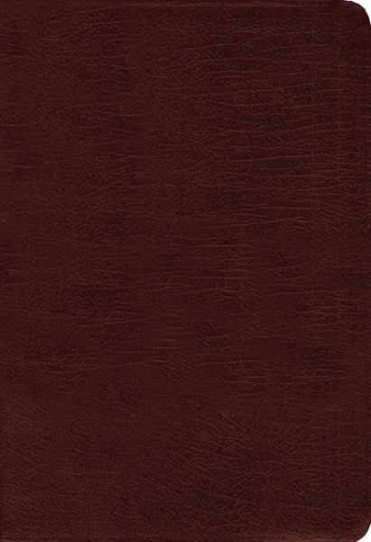 The Amplified Bible Burgundy Bonded Leather - INDEXED Edition - Image 2