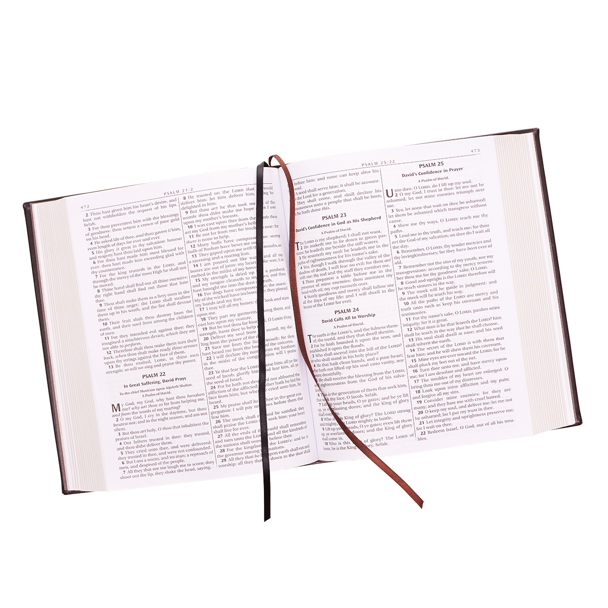KJV Family Bible Luxury padded Hardcover - Image 4