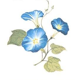 Spiritual Knowledge- Watchman Nee