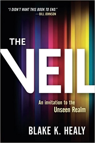 The Veil - Blake K. Healy