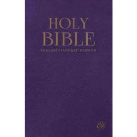 ESV Standard Blue (Hardcover)