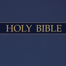 CSB Bible Economy Blue (Leather Look)