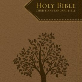 CSB Bible Brown (Luxleather)