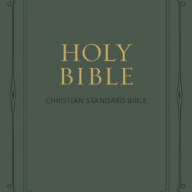 CSB Bible Large Print Light Brown (Luxleather)