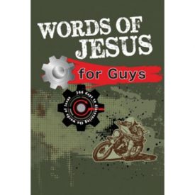 Words of Jesus for Guys - Carolyn Larsen