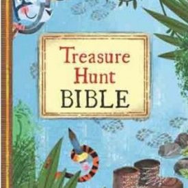 NIrV Treasure Hunt Bible (Hardcover)