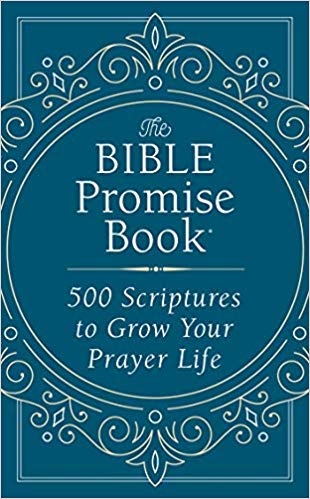 The Bible Promise Book