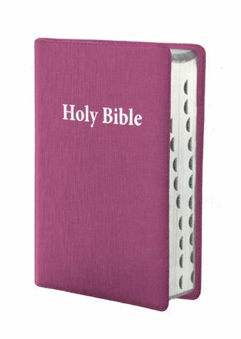 NIV - Luxury Giant Print Bible - Cerise Pink