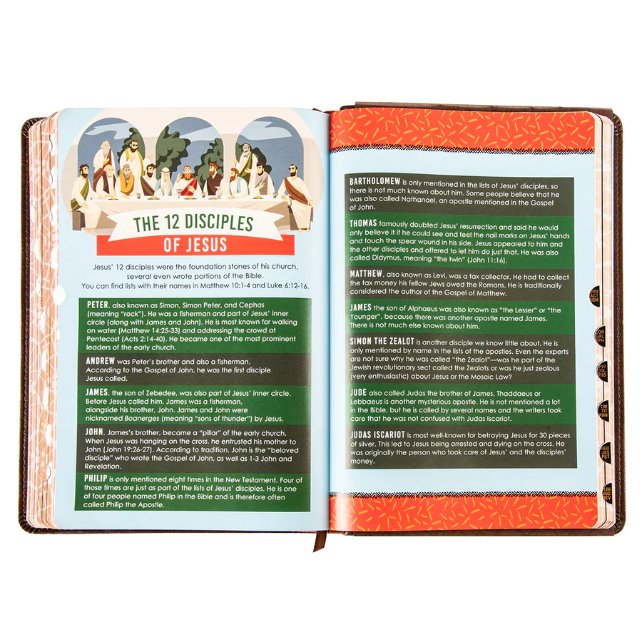 KJV Brown Lion Faux Leather Flexcover Kids Bible - Large Print - Image 3