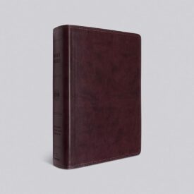 ESV Super Giant Print Bible (TruTone, Burgundy) Imitation Leather