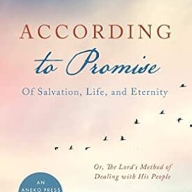 According to Promise: Of Salvation, Life, and Eternity Paperback – by Charles H Spurgeon