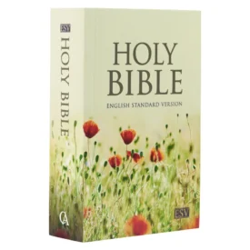 ESV Surf Compact Bible Paperback
