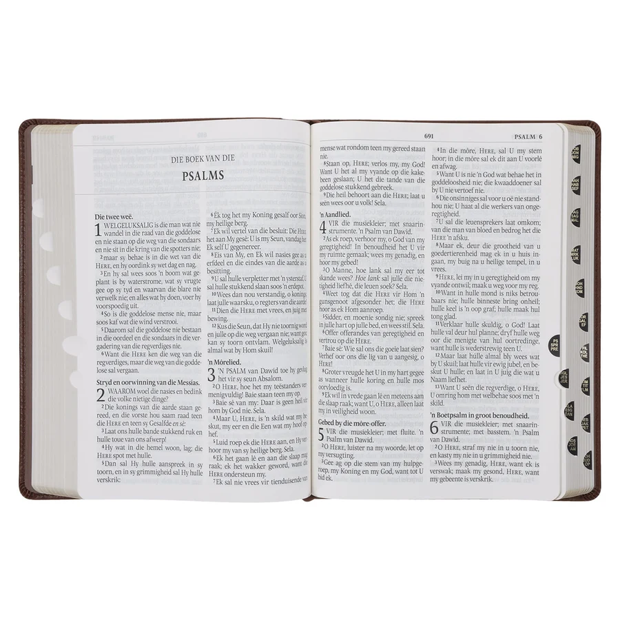 Afrikaans 1933/1953 Vertaling Bruin Kunsleer Bybel Grootdruk - Image 4